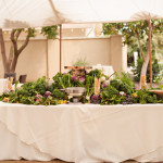 Tuscan table under the tent