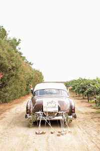 Old Car, Just Married