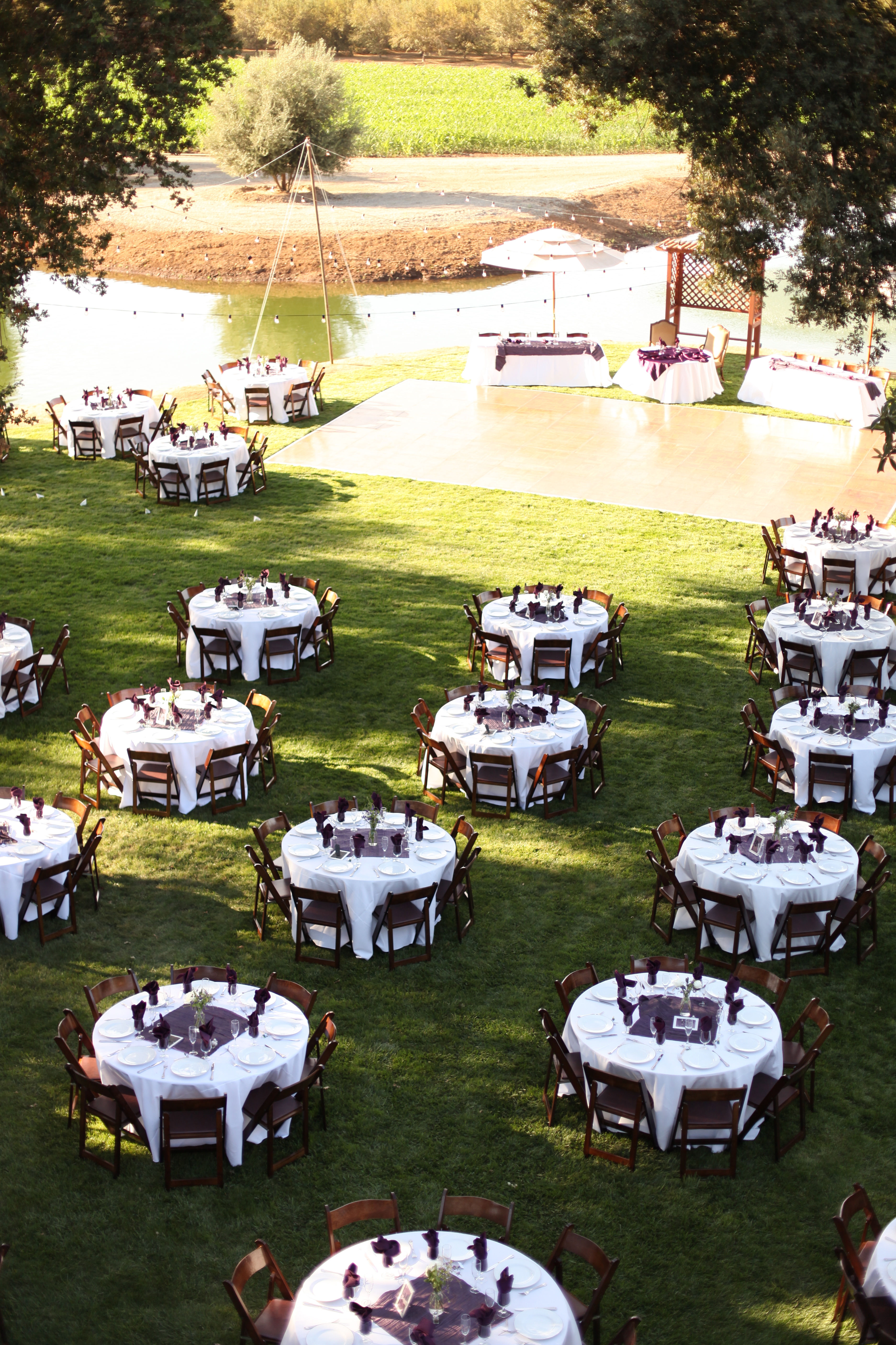 Wedding 1